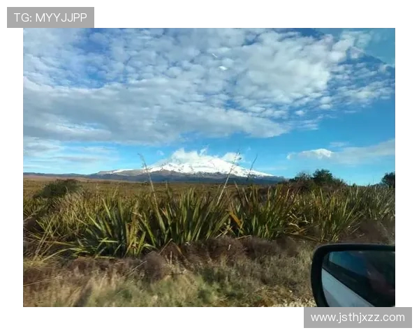 武汉极限运动队的成长历程与城市马拉松的激情碰撞之旅