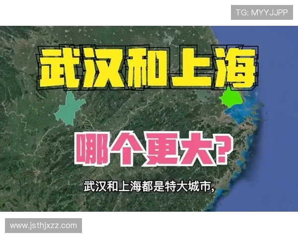 赛后分析：上海排球队与武汉排球队的实力对决与战术较量