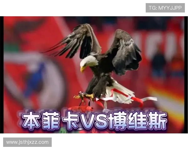 博维斯与本菲卡首发阵容分析及比赛前瞻全面解读