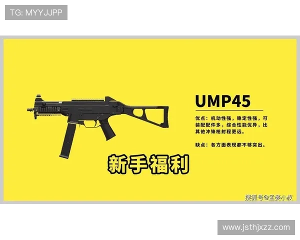 深度对话：赵娜如何在和平精英中找到人生的意义与目标